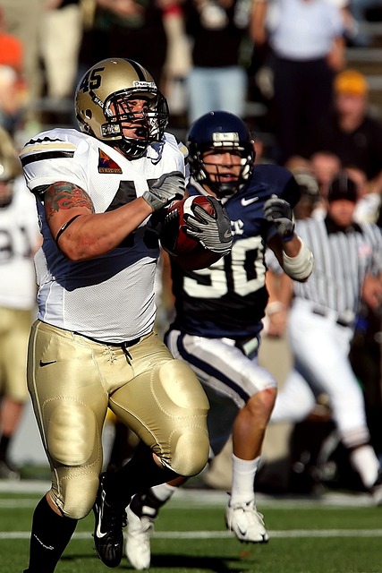 拉开帷幕 拉开帷幕